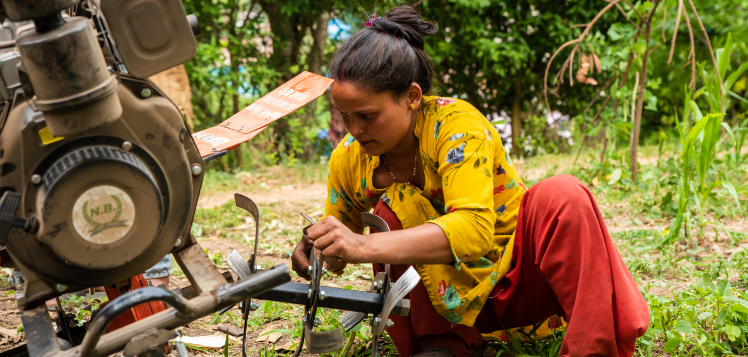 Market event with people viewing produce and food items