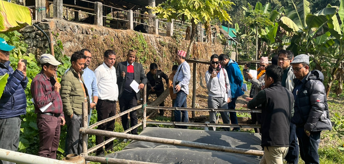 Market event with people viewing produce and food items