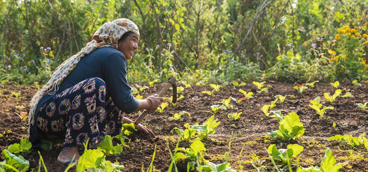Market event with people viewing produce and food items